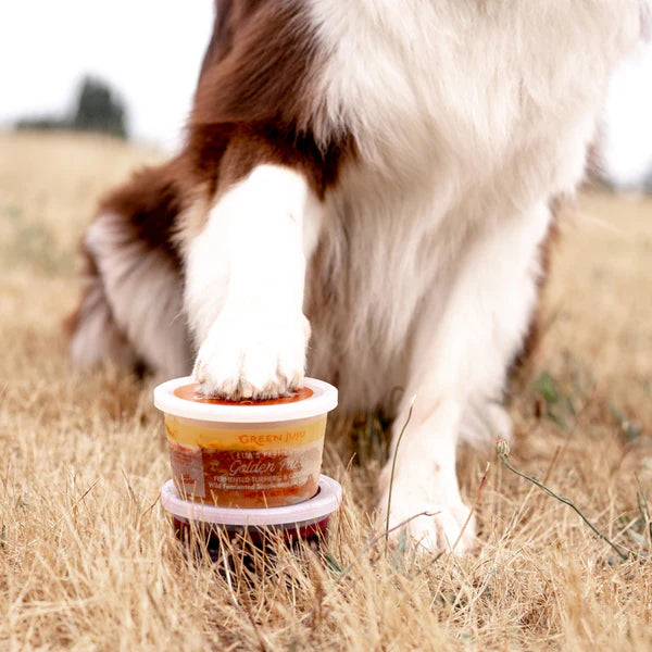 Dog pawing at a container of Greenies dental chews in a grassy field