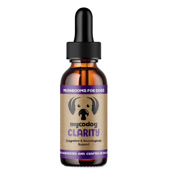 Clarity Mushroom Extract & Adaptogen Tincture