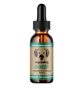 Digest Mushroom Extract & Adaptogen Tincture