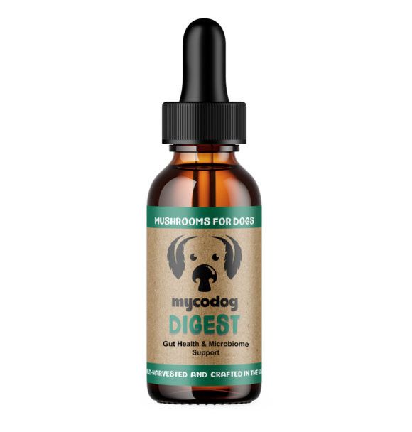 Digest Mushroom Extract & Adaptogen Tincture
