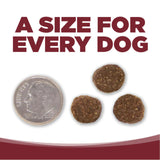 NutriSource Beef Brown Rice Dog