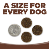 Nutrisource Choice Large Breed Beef Barley 40lb