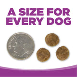 NutriSource GF Large Breed Puppy