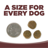 NutriSource GF Prairie Select Dog