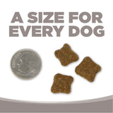 NutriSource GF Senior Dog