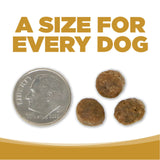 NutriSource GF High Plains Small Breed Dog