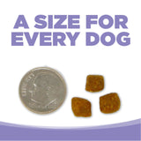 NutriSource GF Small/Med Puppy