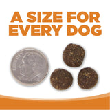NutriSource Lamb and Rice Dog