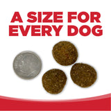 NutriSource LB Adult Beef Rice Dog