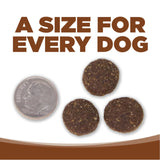 NutriSource Large Breed Adult Lamb Rice Dog
