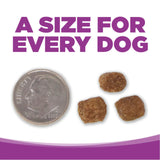 NutriSource GF Large Breed Puppy