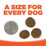 NutriSource Performance Chicken Rice Dog 40lb