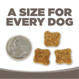 NutriSource Senior Chicken Rice Dog