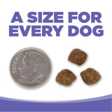 NutriSource Small/Med Chicken Rice Puppy