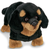 Dachshund Harley 13in
