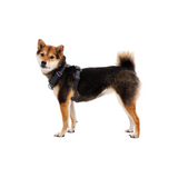 Ruffwear Front Range Harness Basalt Gray