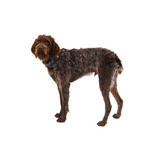 Ruffwear Front Range Harness Moonlight Mountains
