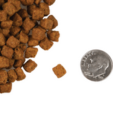Fromm 4 Star Cat GF Beef Livattini Veg