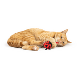 Huxley & Kent Flinger Ladybug