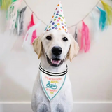 Santa Barbara It's My Birthday Pet Bandana