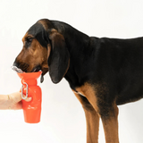 Springer Travel Bottles Poppy