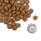 Fromm Classic K9 Puppy