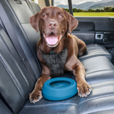 Kurgo Splash Free Wander Bowl
