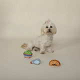 Fringe Taco Tuesday 3pc Toys