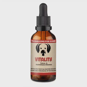 Vitality Mushroom Extract & Adaptogen Tincture