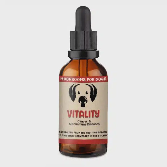 Vitality Mushroom Extract & Adaptogen Tincture