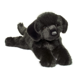 Douglas Jake Black Lab