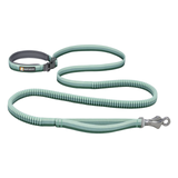Ruffwear Roamer Leash River Rock Green