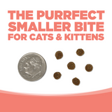 NutriSource GF Ocean Select Cat
