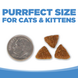 PureVita GF Chicken Pea Cat