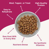 Steve's Quest Cat Freeze Dried Nuggets Beef 10oz