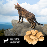 Orijen Cat Treat FZD Tundra 1.25oz