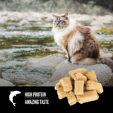 Orijen Cat Treat USA FZD 6 Fish 1.25oz