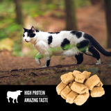 Orijen Cat Treat USA Regional Red 1.25oz