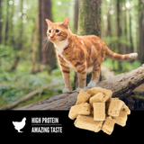 Orijen Cat Treat USA FZD Original 1.25oz