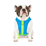 Canada Pooch Cooling Harness Blue*