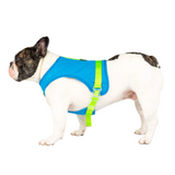Canada Pooch Cooling Harness Blue*