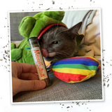 Meowijuana Get a Rise Balloon*