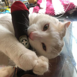 Meowijuana Toy Catnip Cigar