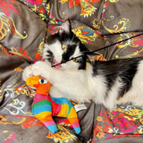Meowijuana Get Smashed Pinata Wand