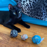 Meowijuana Get Rocked String Of Stones