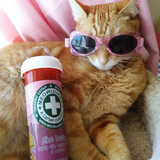 Meowijuana Mice Dreams