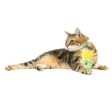 Huxley & Kent Lit Donut Cat Toy