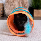 Instincts Teaser Tunnel