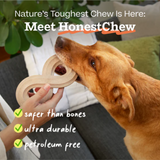 Honest Chew Antler Toy