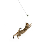 RompiCatz Critter Collections Cagonfly Attachment